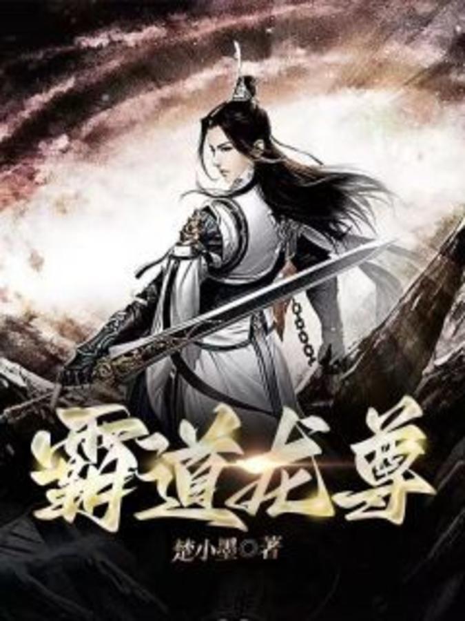 段飞流苏穿越小说