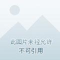 地下世界与全职勇士