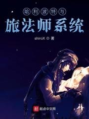 哈利波特与旅法师系统