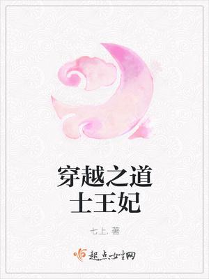 穿越之道士王妃