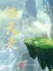 皓天录