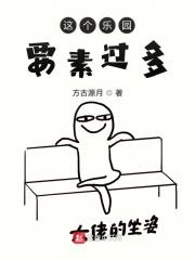 这个乐园要素过多